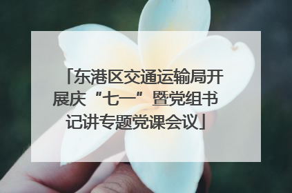 东港区交通运输局开展庆“七一”暨党组书记讲专题党课会议